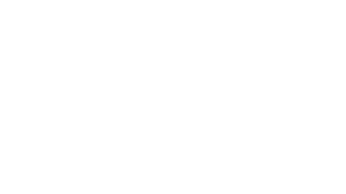 Raveonsistaz
